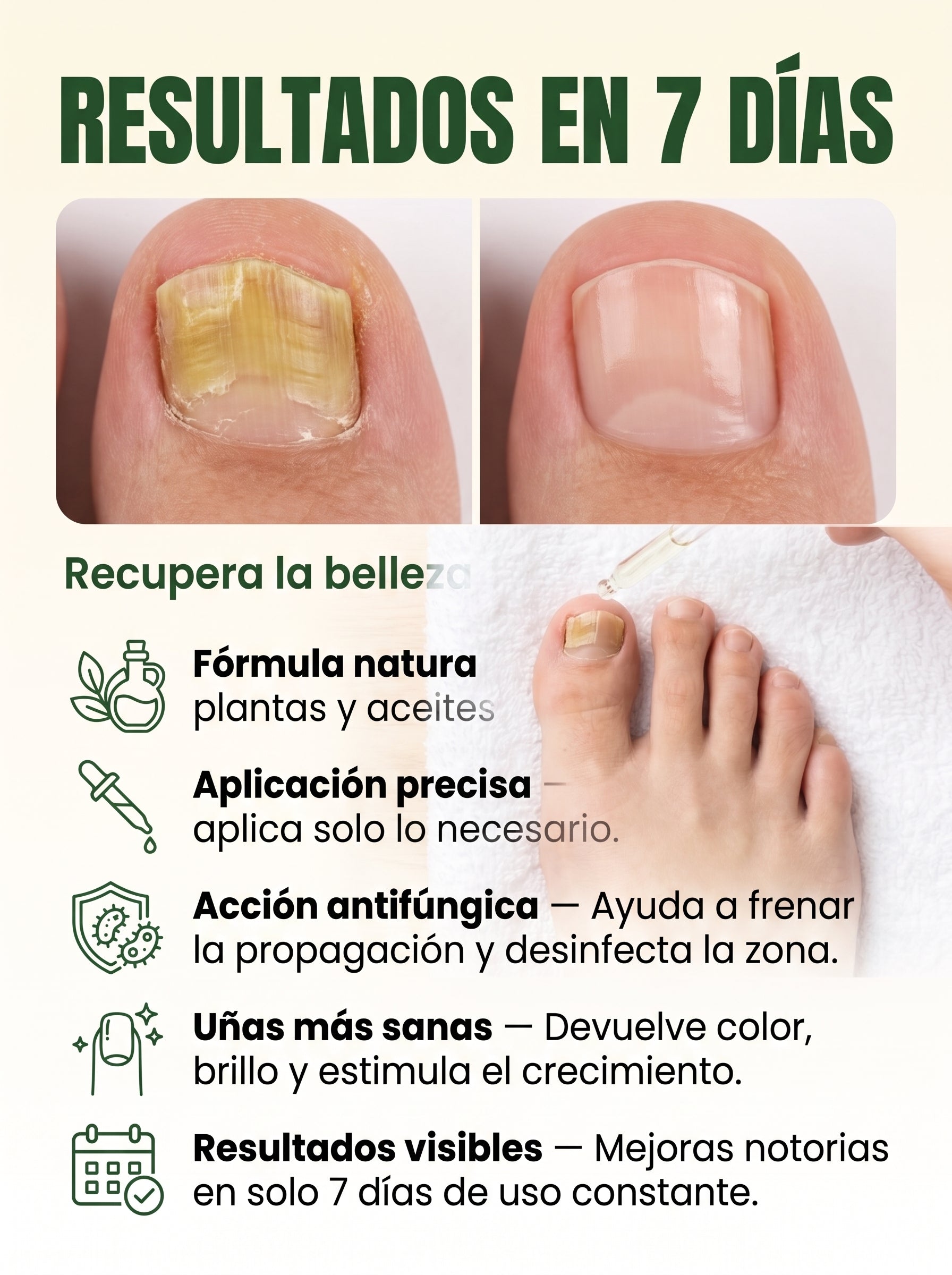 transformacion
